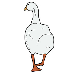 vector, isolated, bird goose, duck © Dzmitry