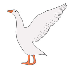 isolated, goose, white background