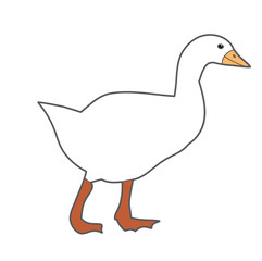  goose, duck white
