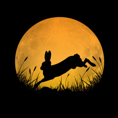 Naklejka premium Sylwetka królika, przeskakując pole trawy z tłem księżyca w pełni, ilustracji wektorowych