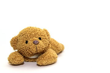 teddy bear on a white background. A toy.