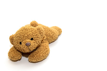 teddy bear on a white background. A toy.