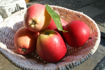 Swedish, mellow  James Grieve apples in white basket