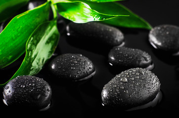 Obraz na płótnie Canvas Close up of water drops on black stones with green leaves