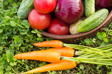 Vintage of fresh organic vegetables. The concept of proper nutrition. Cucumbers, onions, , carrots, zucchini, tomatoes. Close-up