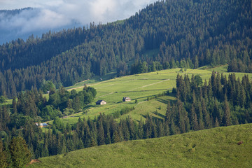 Obraz premium Beautiful view of the mountain plain and the mountains in the fog. Carpathians, Ukraine