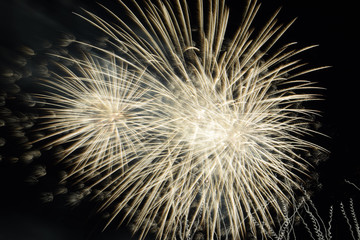 radiate a silver fireworks, fireworks effect on dark sky background