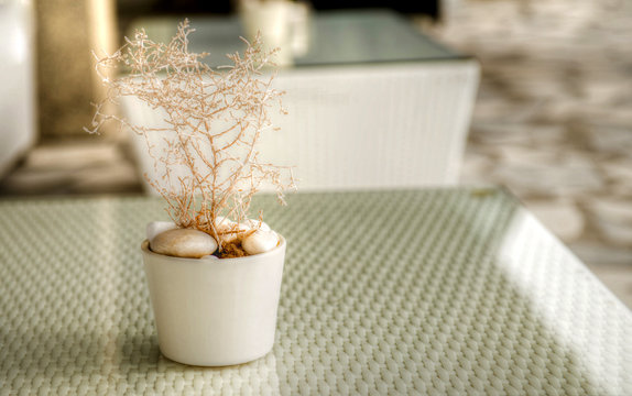 Decor on a table, a tree without leaves