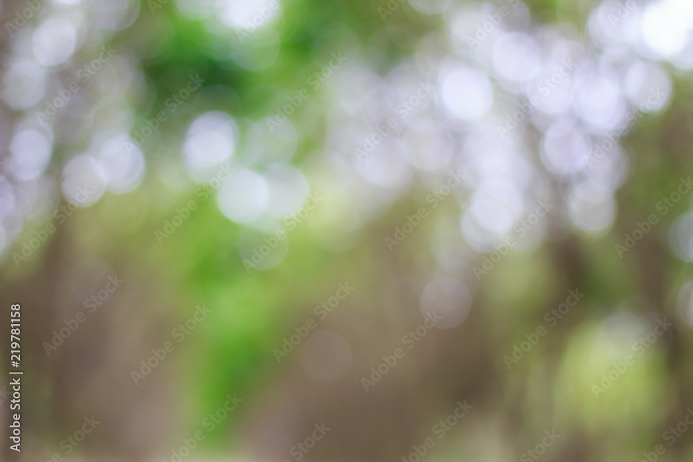 Wall mural blurred of green bokeh on tree background