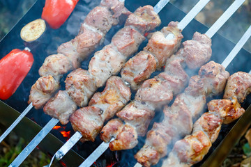 Barbecue skewers with meat on the brazier. Pork shish kebab