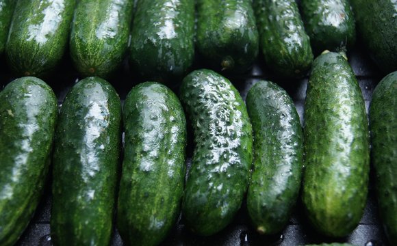 Gurken,gurke, essen, gem&uuml;se, green, frisch, isoliert, gesund, wei&szlig;, vegetarier, bio, di&auml;t, salat, natur, zutat, reif, roh, pflanze, frische, gegenstand, close up, ackerbau, ern&auml;hrung, 