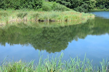 Schilfgürtelsee Holzmaar