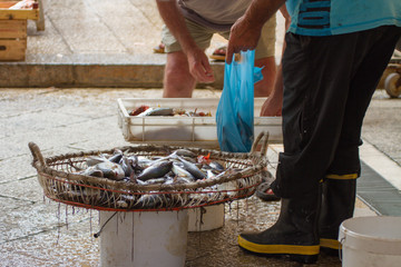 antico mercato del pesce di marsala