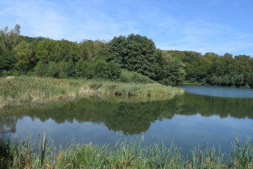 Schilfgürtelsee Holzmaar
