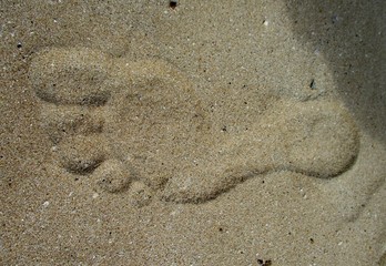 Empreinte de pied nu en relief dans le sable fin mouillé de la plage avec l'ombre du marcheur dans un angle