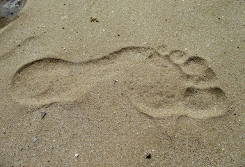 Fototapeta na wymiar Empreinte de pied nu sur une plage de sable fin avec un coin de mer dans un angle.