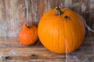 halloween and holidays concept - pumpkins with spiders and cobweb