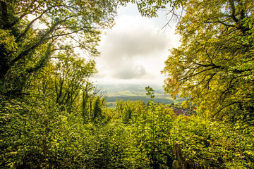 Looking through a foliage roof on a landscape with dark clouds
