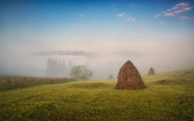 Haystacks on a meadow