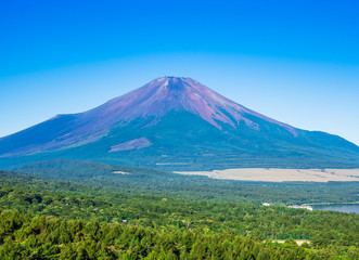 Fototapeta premium 山中湖から眺める富士山