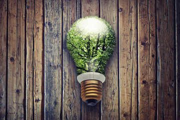 Electric green environmental bulb lamp shattering