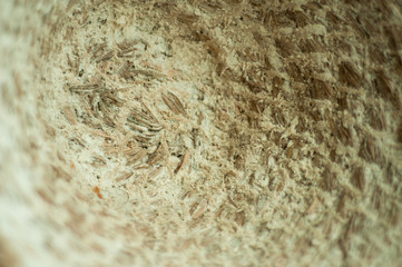 Bottom of bread basket, textured