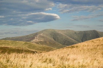 Grass-covered slopes the Carpathian Mountains