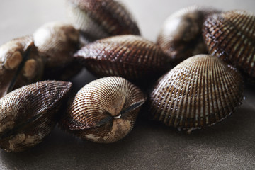 Cockles