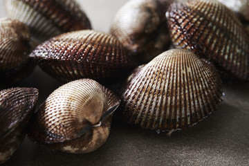 Cockles