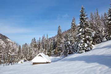 Sunny winter landscape