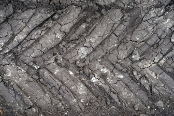 Tracks in the ground from the car wheel
