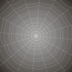 concentric white web on a gray background