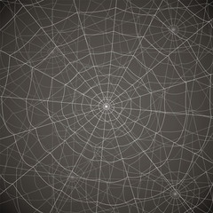 network of several cobwebs on a gray background
