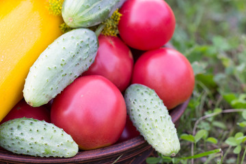 Freshly picked vegetables. Vintage organic vegetables. Cucumber, tomato,  zucchin  from the farmer's garden.