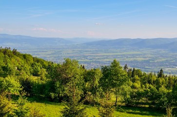 Fototapeta na wymiar Spring mountain landscape. A beautiful view of the green hills.