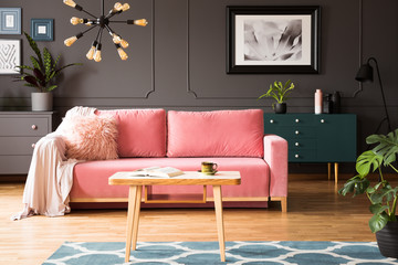 Poster on grey wall in living room interior with pink couch and wooden table on carpet. Real photo