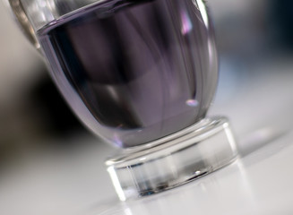 Fragant perfume liquid in a bottle transparent glass liquid closeup detail flower essentials oil spice pleasent smell violet purple