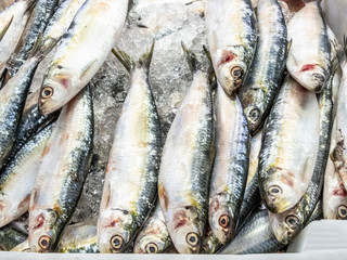 fish on market in Brazil