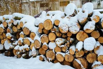 Logging stack in the forest during the winter