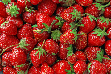 Many ripe strawberries