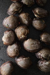 Cockles