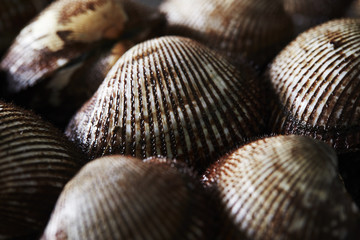 Cockles