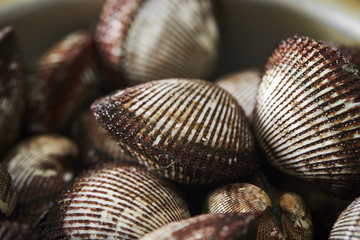 Cockles