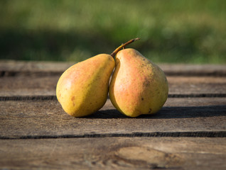 2 ripe yellow pears on wooden background outdoors