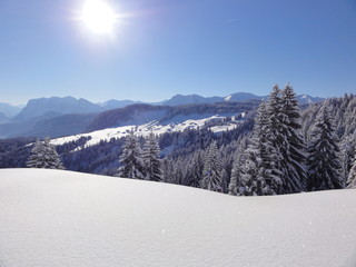 Funkelnde Winterlandschaft