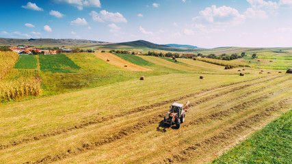 Naklejka premium Aerial view, drone view of agriculture harvesting. Worker and farmer using tractor on harvest crops