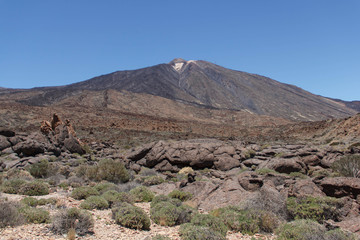 Der Teide, Las Canadas, Teneriffa, Spanien   © manza