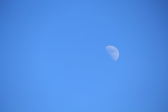 Der Mond zeigt sich im Februar