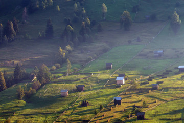 Summer landscape in Bucovina