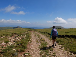 Fototapeta premium Jeune femme randonneuse sur sentier sur fond de grand espace désertique de montagne